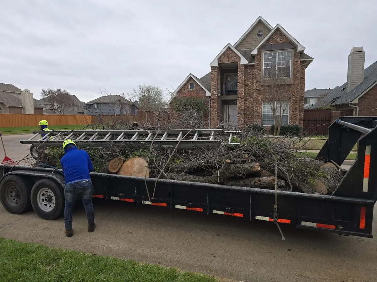 Expert Tree Pest Control with proper safety equipment in Harford